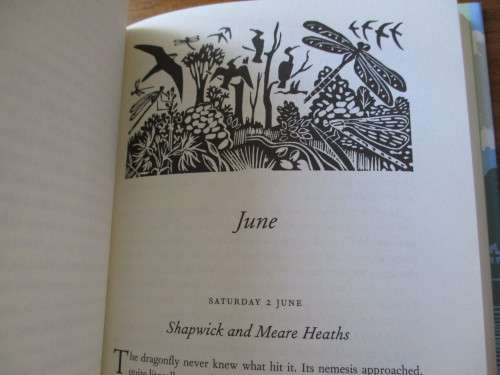 The Birding Life  and A Sky Full of Starlings Stephen Moss