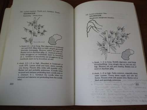 Klimplante, Bome en Struike - Oranje-Vrystaat / Climbers, Trees and Shrubs - Orange Free State