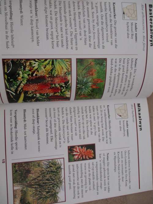 Eerste Veldgids tot AALWYNE van Suider-Afrika