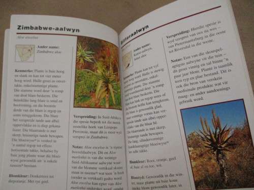Eerste Veldgids tot AALWYNE van Suider-Afrika