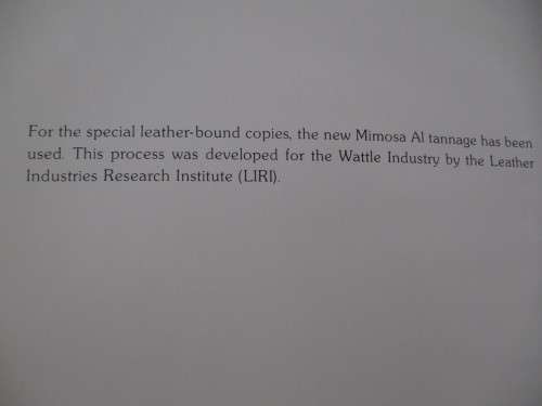 From Riempies to Fashion Shoes. SA Leather Industry. De Luxe Edition