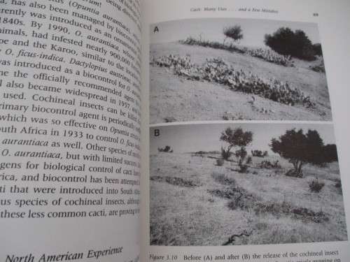 Remarkable AGAVES and CACTI. By Park S Nobel