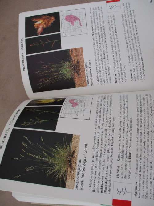 GIDS TOT GRASSE VAN SUID-AFRIKA Frits van Oudtshoorn