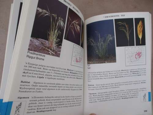 GIDS TOT GRASSE VAN SUID-AFRIKA Frits van Oudtshoorn