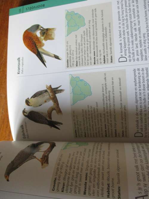 SUNBIRD Geillustreerde gids tot die DIERELEWE van Suider-Afrika