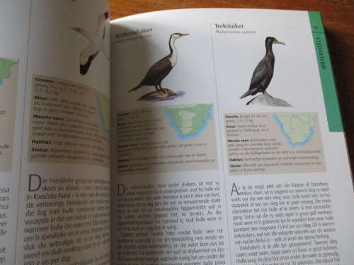 SUNBIRD Geillustreerde gids tot die DIERELEWE van Suider-Afrika