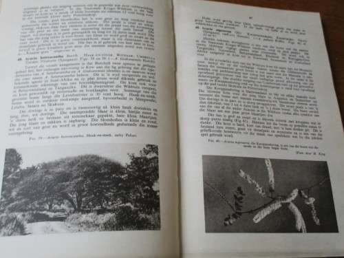 BOME EN STRUIKE VAN DIE NASIONALE KRUGER-WILDTUIN  Deur L.E.W. Codd