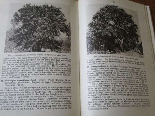 BOME EN STRUIKE VAN DIE NASIONALE KRUGER-WILDTUIN  Deur L.E.W. Codd