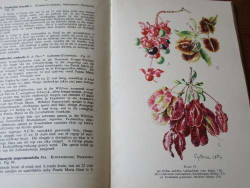 BOME EN STRUIKE VAN DIE NASIONALE KRUGER-WILDTUIN  Deur L.E.W. Codd