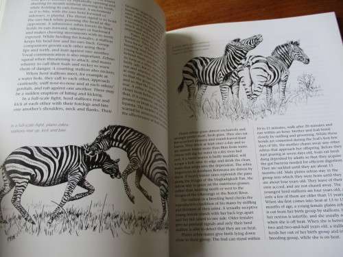 WILD WAYS  Peter Apps  Penny Maekin