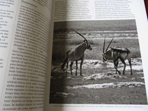 WILD WAYS  Peter Apps  Penny Maekin