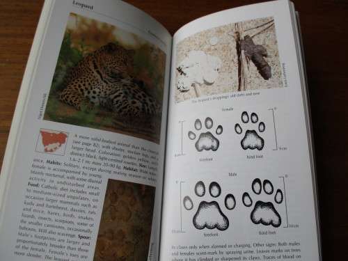 Tracks & Tracking in Southern Africa - Louis Liebenberg