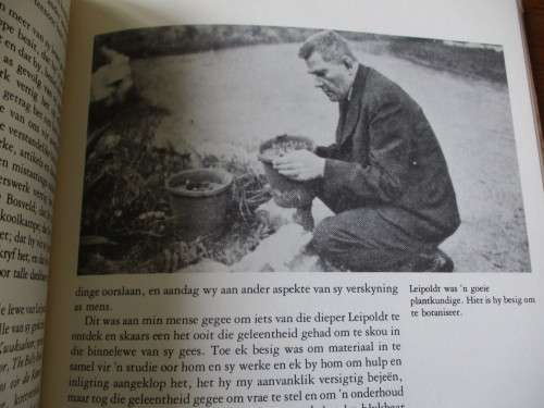 LEIPOLDT in beeld en woord