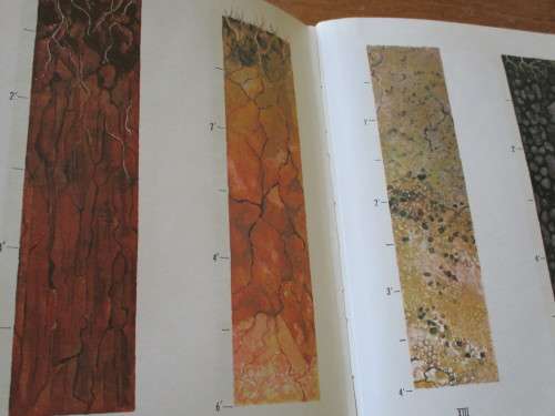 Soil Groups and Subgroups of South Africa. Science Bullitin No. 356