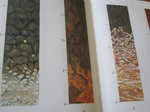 Soil Groups and Subgroups of South Africa. Science Bullitin No. 356