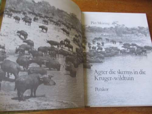 Agter die skerms in die Kruger-wildtuin  Piet Meiring