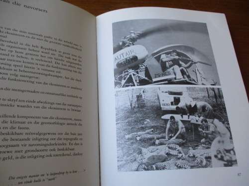 Agter die skerms in die Kruger-wildtuin  Piet Meiring