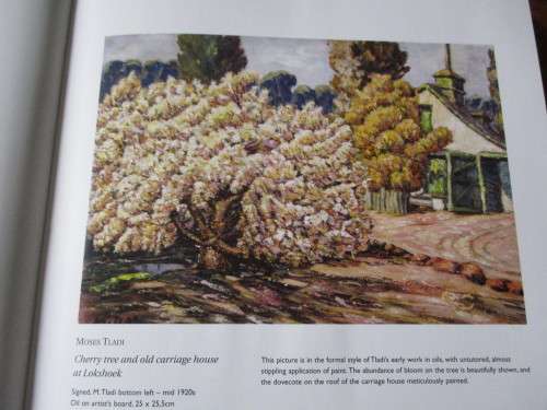 THE QUEST FOR MOSES TLADI  The Artist in the Garden  ANGELA READ LLOYD