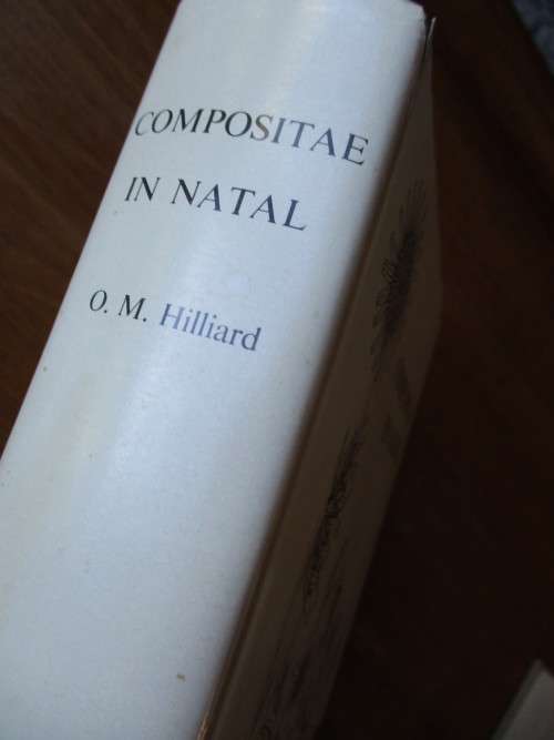 COMPOSITAE IN NATAL  O.M. HILLIARD