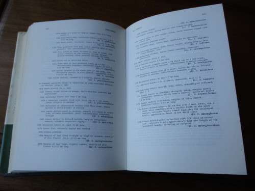 COMPOSITAE IN NATAL  O.M. HILLIARD