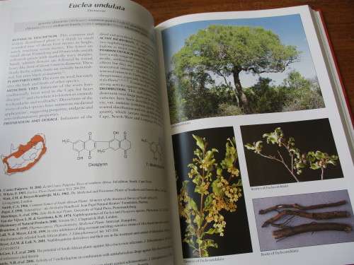 Medicinal Plants of South Africa  Ben-Erik van Wyk  Bosch van Oudtshoorn Nigel Gericke