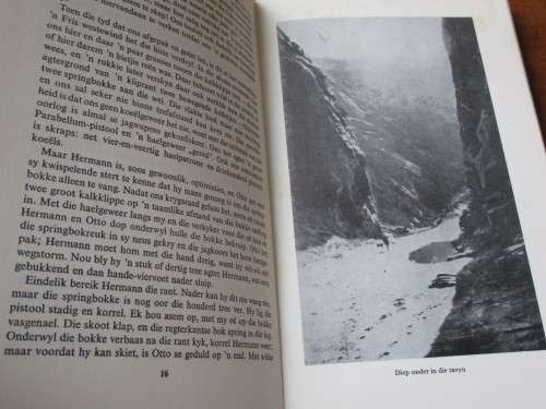 Vlug in die Namib  Henno Martin.