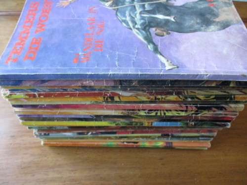 25 TEMMERS VAN DIE WOESTYN boekies