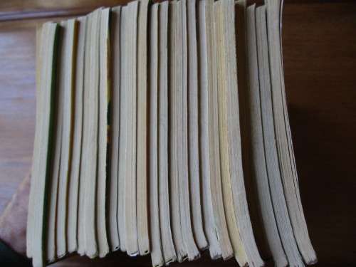 25 TEMMERS VAN DIE WOESTYN boekies