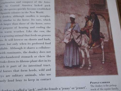 Fifty Animals that Changed the Course of History  Eric Chaline