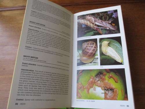 GARDEN PESTS AND DISEASES IN SOUTH AFRICA  W.M. De Villiers  A.S. Schoeman