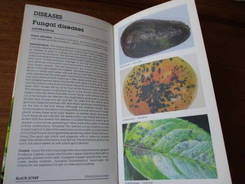 GARDEN PESTS AND DISEASES IN SOUTH AFRICA  W.M. De Villiers  A.S. Schoeman