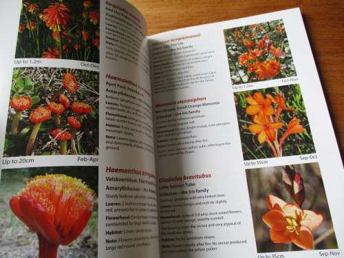 SIGNED. FERNKLOOF NATURE RESERVE HERMANUS