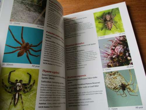 SIGNED. FERNKLOOF NATURE RESERVE HERMANUS