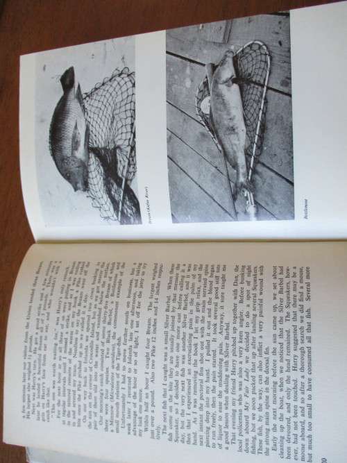 ANGLING IN SOUTHERN AFRICA  ALLAN B.W.IMPEY