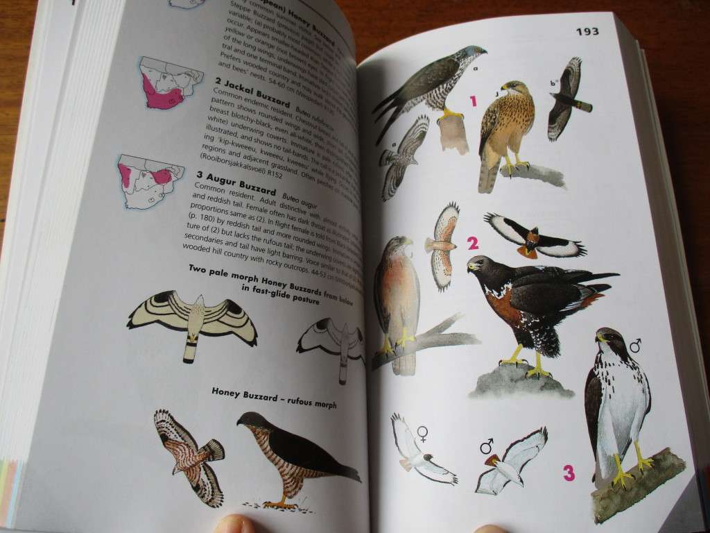 Birds of Southern Africa Kenneth Newman