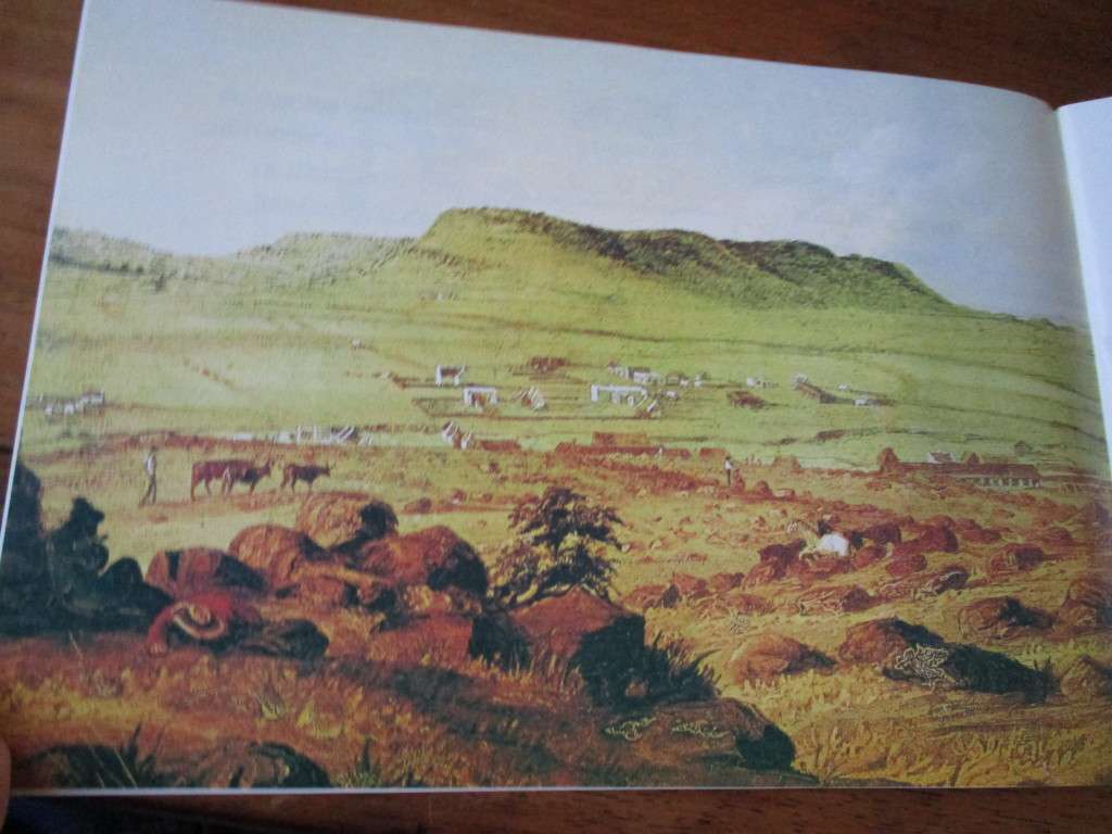 President Brandstraat  President Brand Street M.C.E Van Schoor