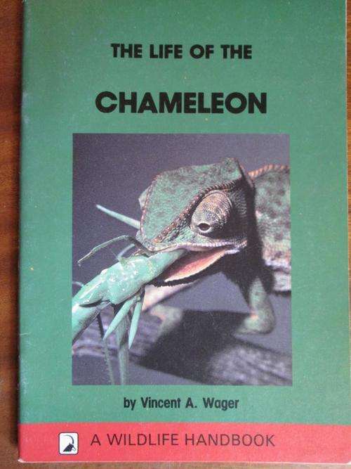 The Life of a CHAMELEON