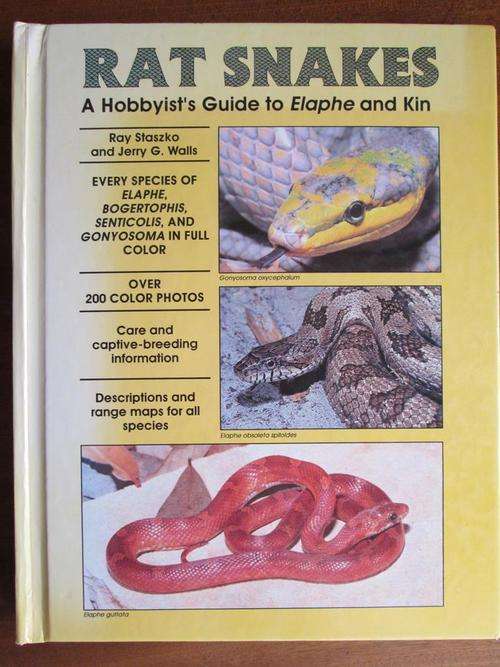 RAT SNAKES