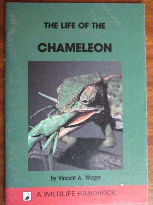 The Life of a CHAMELEON