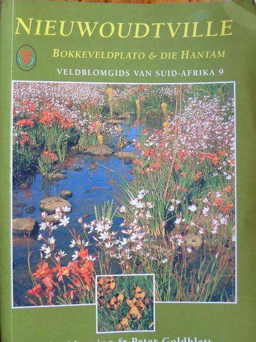 NIEUWOUDTVILLE, Bokkeveld & Die Hantam