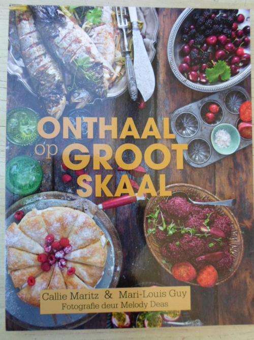 ONTHAAL OP GROOT SKAAL