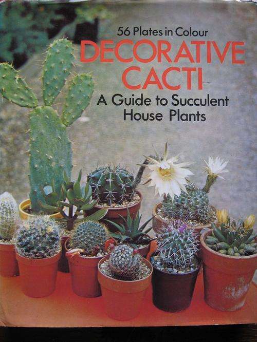 Decorative CACTI. A Guide to Succulent House Plants