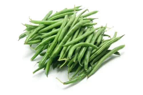 Beans Contender (Bush) - 15 Seeds