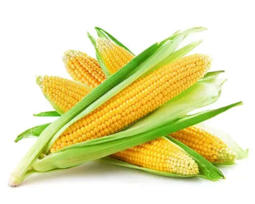 Sweetcorn Golden Bantam - 40 Seeds