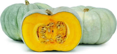 Pumpkin Queensland Blue - 6 Seeds
