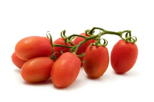 Tomato Roma Vf - 50 Seeds