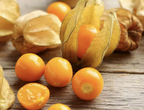 Berry - Cape Gooseberry - 25 Seeds