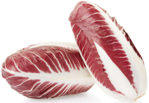 Endive - Radicchio Rossa Treviso Red - 100 Seeds