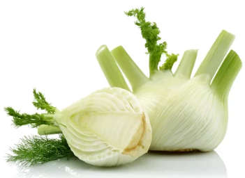 Fennel Sweet Florence - 125 Seeds