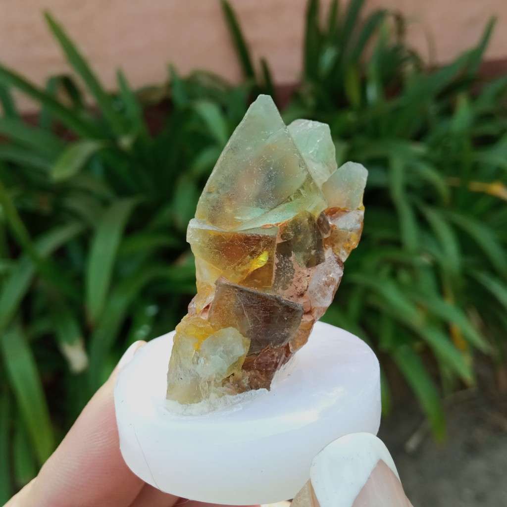 Fluorite Riemvasmaak mounted on a stand, 5.5cm, gemmy lime green, Northern Cape, South Africa